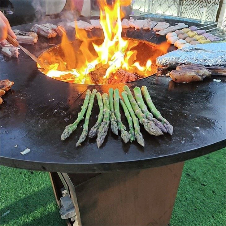 Charcoal Fire Pit Bbq
