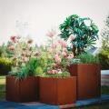 Corten Garden Raised Beds