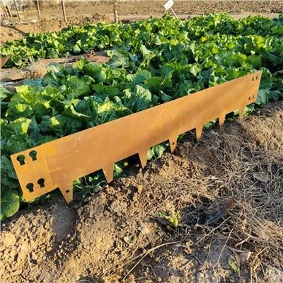 ขอบสนามหญ้าและแนวนอน