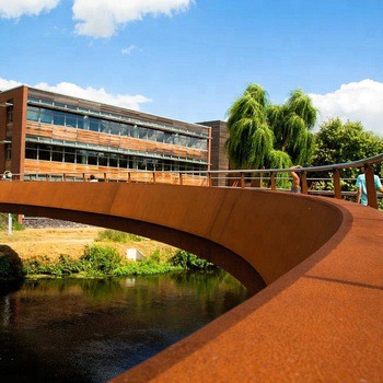 กระบวนการสร้างคราบ